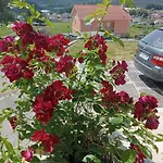 Atalaya Rias Baixas Holiday home