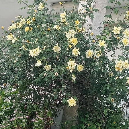 Feriehus Atalaya Rias Baixas *